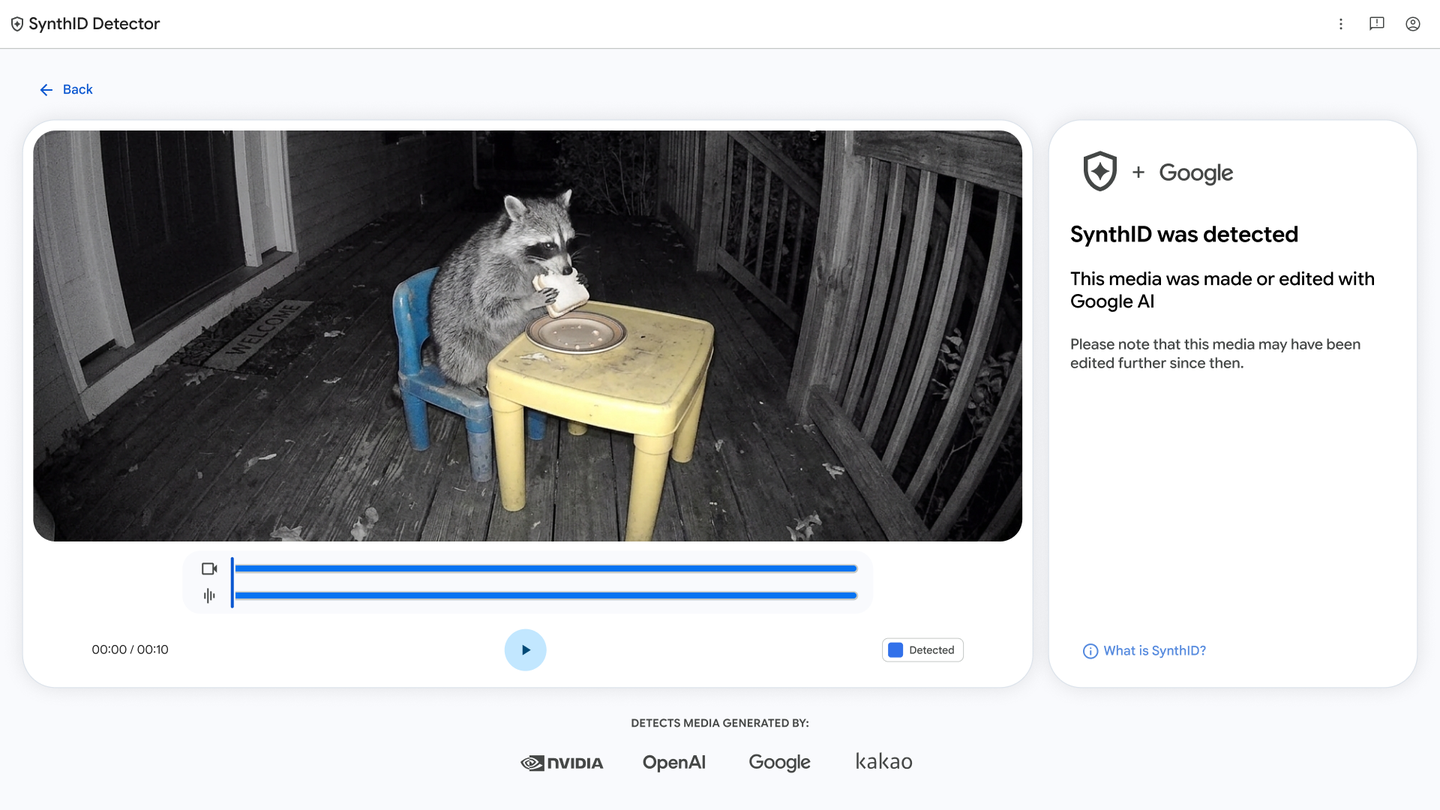 Captura de tela do SynthID Detector com um player de vídeo mostrando um guaxinim comendo um sanduíche